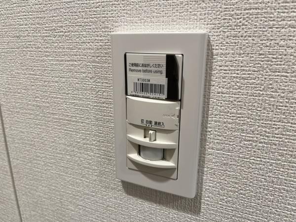 ライジングプレイス錦糸町(その他)