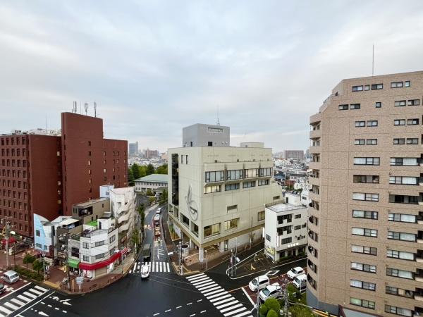 サクラハイツ(現地からの眺望)