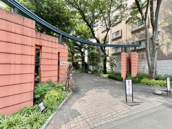 シーズウィッシュ志木