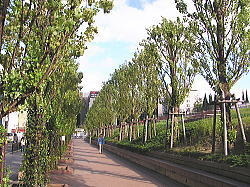 吹田市江坂町３丁目の中古一戸建て(江坂公園)