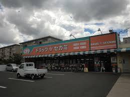 日商岩井相川松山公園マンション(ドラッグセガミ南江口店)