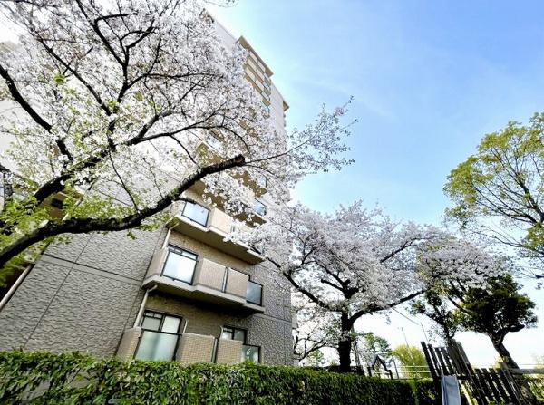 セントポリア北大阪ヴィゾン壱番館