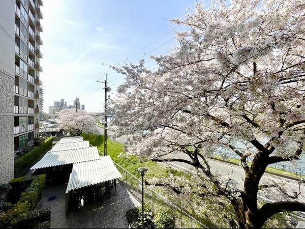 セントポリア北大阪ヴィゾン壱番館