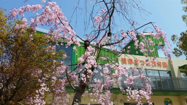 摂津市鳥飼野々３丁目の中古一戸建て(認定こども園鳥飼さつき園)
