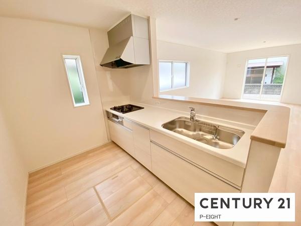 刈谷市小垣江町鴻田の新築一戸建