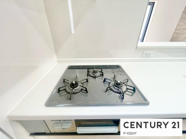 豊田市豊栄町１０丁目の新築一戸建