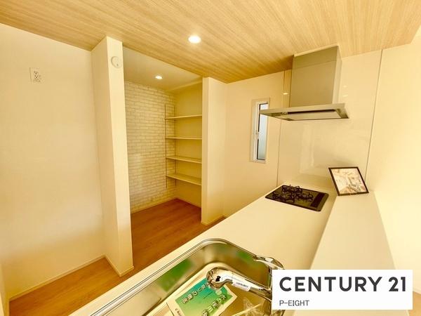 豊田市平山町１丁目の新築一戸建