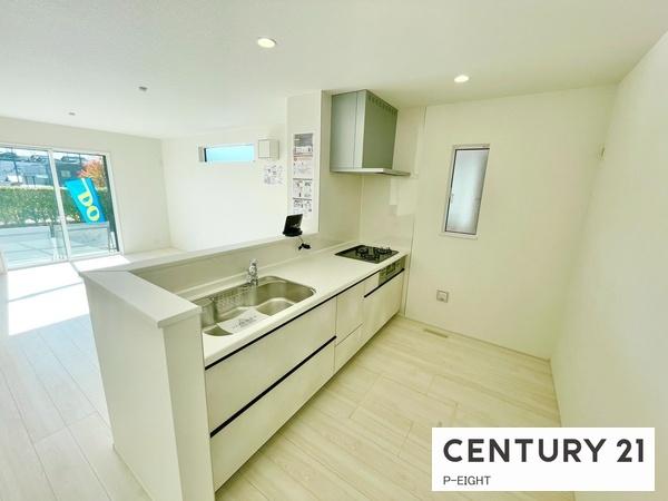 豊田市平山町３丁目の新築一戸建