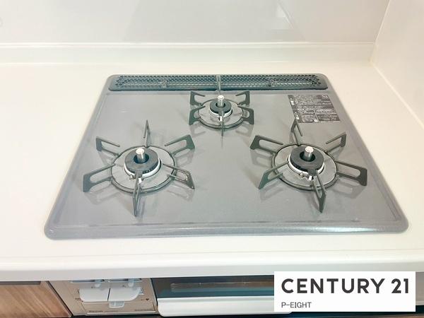 豊田市平山町３丁目の新築一戸建