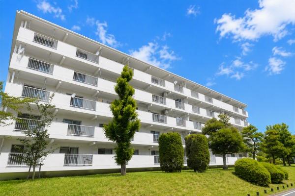藤の木団地４号棟　中古マンション