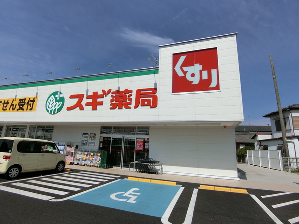 リーブルガーデン江南市飛高町泉 2号棟(スギ薬局古知野店)