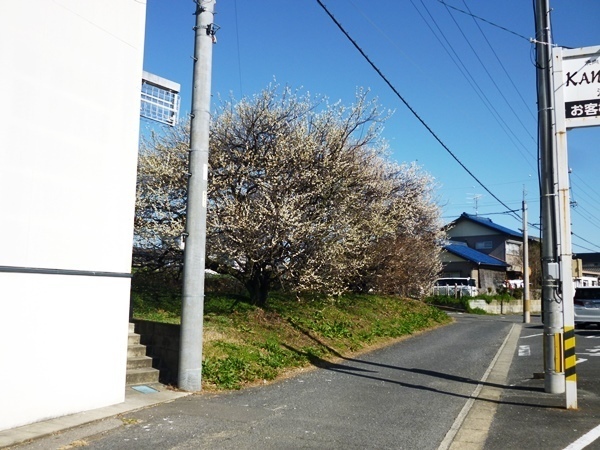 江南市宮後町上河原の土地