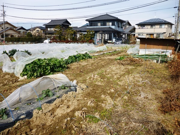 江南市五明町太子堂の土地