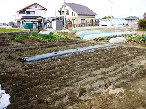 江南市五明町太子堂の土地