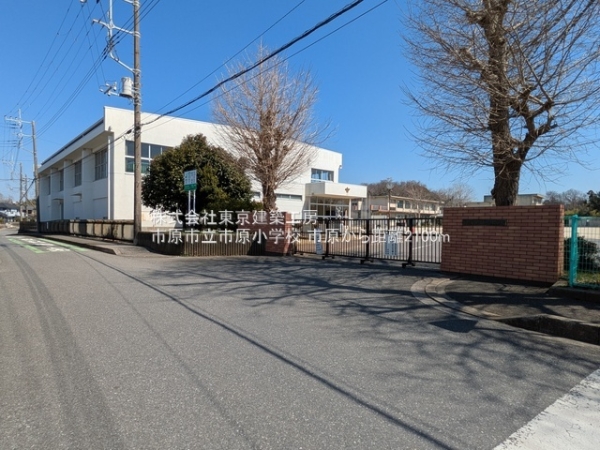 市原市市原の土地(市原市立市原小学校)