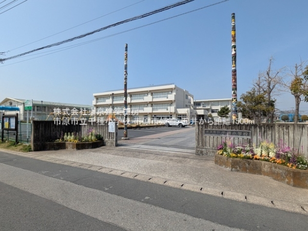 市原市今津朝山の土地(市原市立千種小学校)