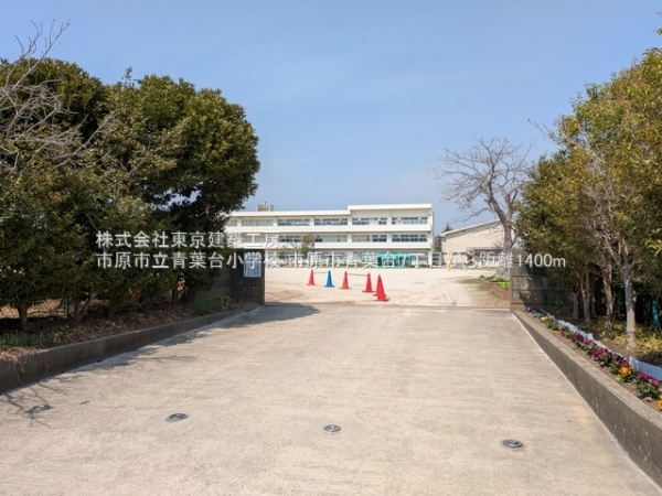 市原市青葉台７丁目の土地(市原市立青葉台小学校)