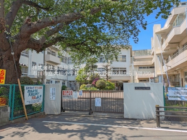 市川市大野町４丁目の土地(市川市立大柏小学校)