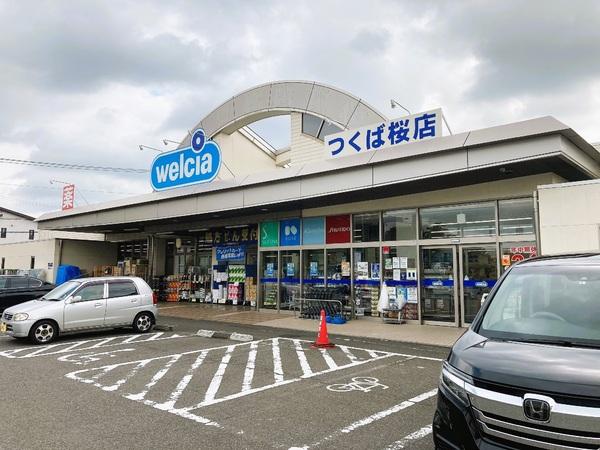 つくば市栗原の土地(ウエルシアつくば桜店)