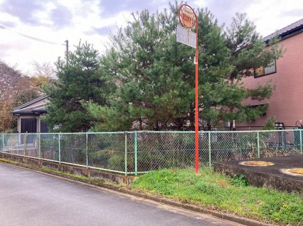 つくばみらい市伊奈東　約50坪
