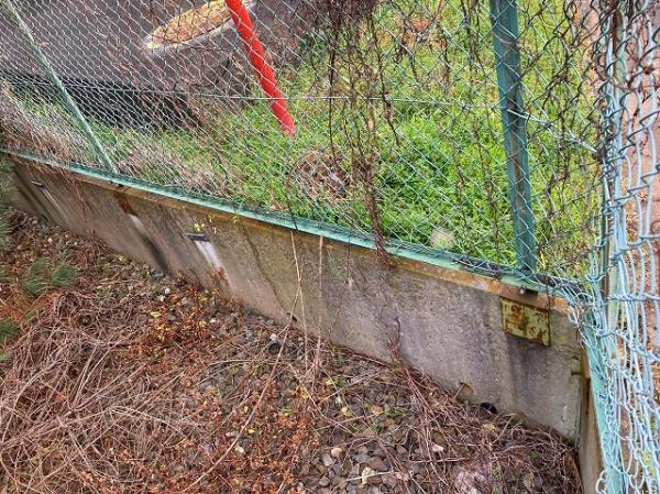 つくばみらい市伊奈東　約50坪