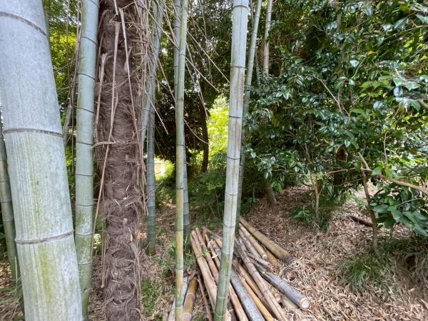 つくばみらい市筒戸の土地