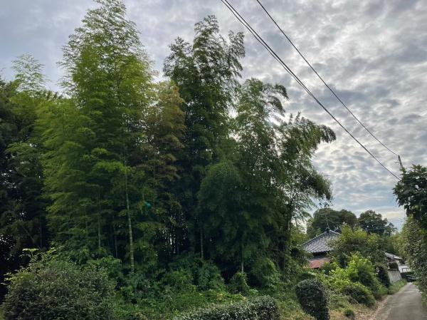 つくばみらい市筒戸の土地