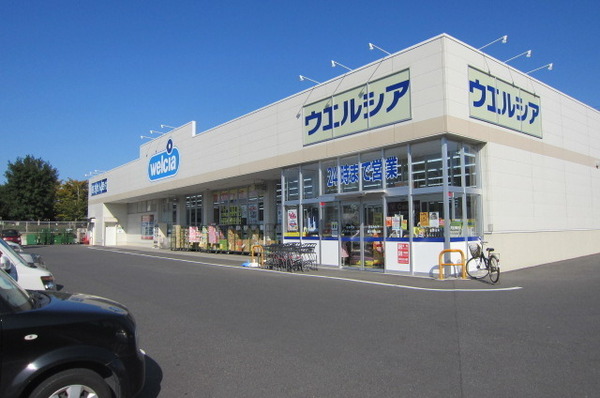 龍ケ崎市松葉4丁目の中古一戸建て(ウエルシア龍ケ崎長山店)
