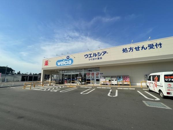 つくば市自由ケ丘の土地(ウエルシアつくば小茎店)