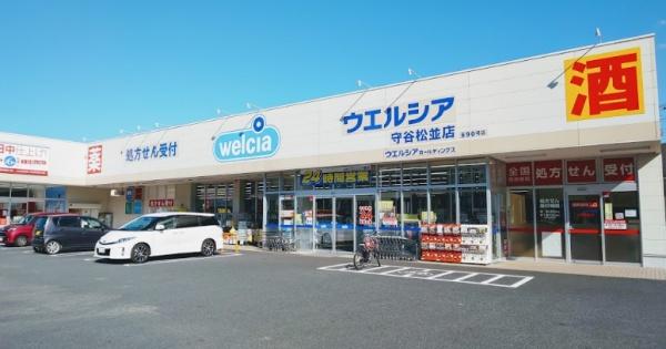 守谷市松並の土地(ウェルシア松並店)