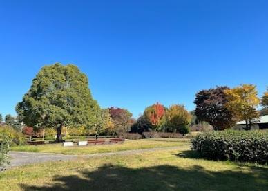 ライオンズマンション三郷第５　ルーフバルコニー(早稲田公園)