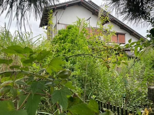 つくばみらい市谷井田の中古一戸建て