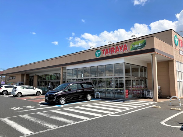 つくば市蓮沼の土地(TAIRAYAつくば大穂店)