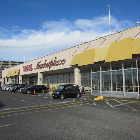龍ケ崎市川原代町の土地(ヤオコー竜ヶ崎佐貫店)