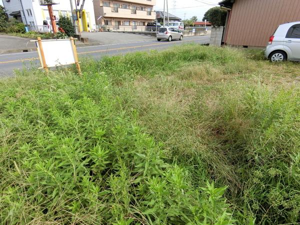 太田市新田大根町の土地
