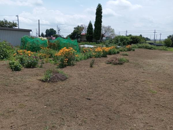 佐野市植下町の土地