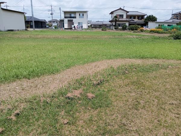 佐野市植下町の土地