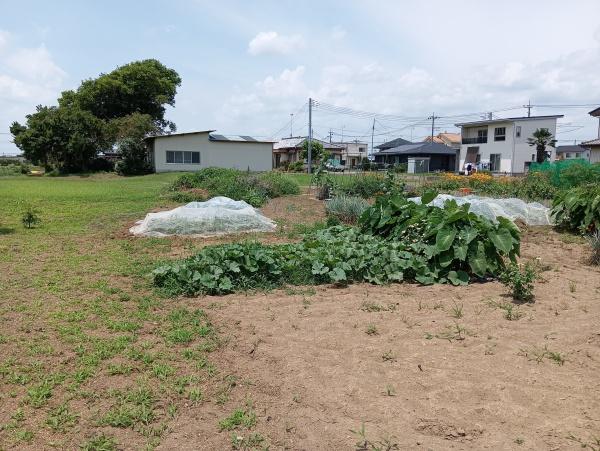 佐野市植下町の土地