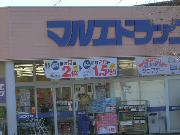 伊勢崎市茂呂南町の中古一戸建て(マルエドラッグ 伊勢崎南千木店)