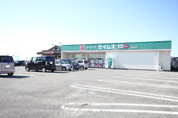 一建設 太田第1長手町 1号棟(ドラッグセイムス 鳥山店)