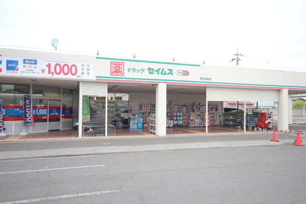 館林市新栄町の中古一戸建て(ドラッグセイムス館林成島店)