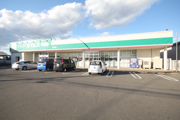 アーネストワン 太田市大原町第8 2号棟(ドラッグセイムス 薮塚店)