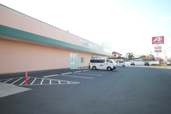 太田市由良町の土地(クスリのアオキ　新道店)