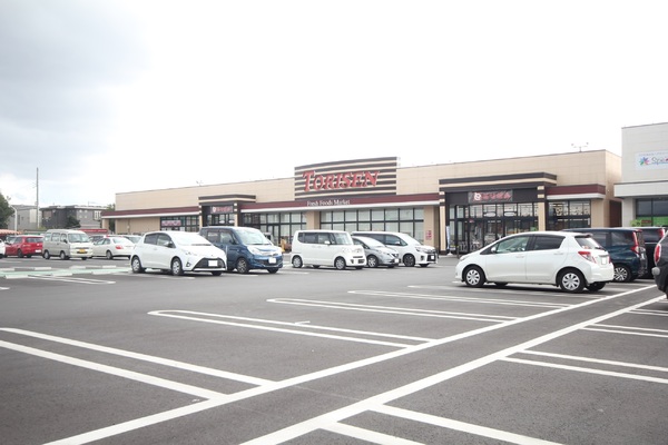 太田市城西町の中古一戸建て(とりせん　城西の杜店)