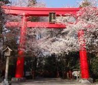 タクトホーム　太田市牛沢町　1号棟(冠稲荷神社)