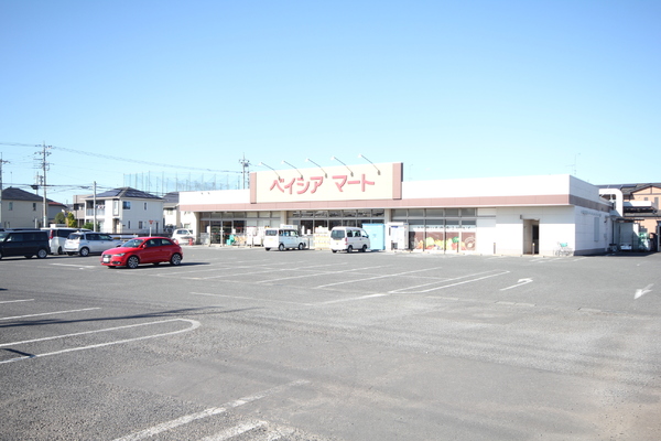 太田市高林西町の中古一戸建て(ベイシアマート　太田富沢店)