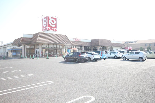 太田市東矢島町の中古一戸建て(とりせん　東矢島店)