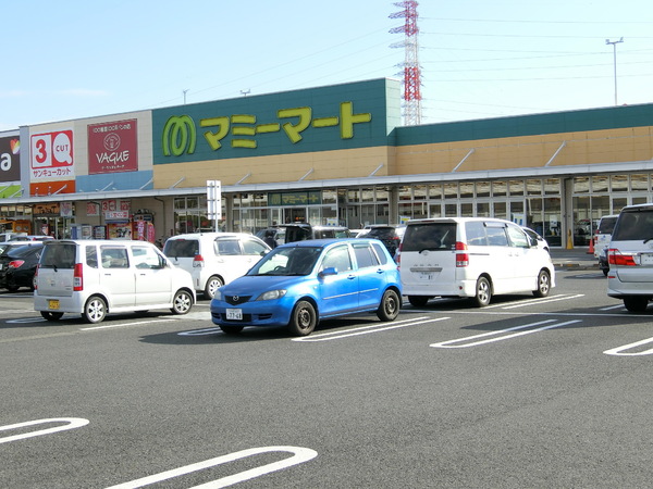 アーネストワン　足利市福居町第8　1棟(ビバモール足利堀込)