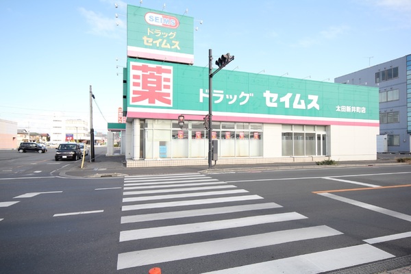 太田市新井町の中古一戸建て(ドラッグセイムス　太田新井町店)