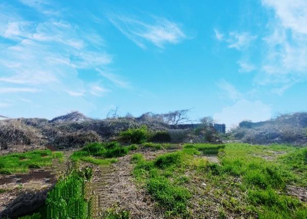 印旛郡酒々井町尾上　事業用地　土地